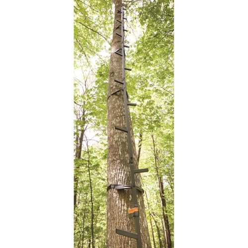 Guide Gear Climbing Stick Ladder for Tree Stands, Climbing Equipment for Deer Hunting, 25’