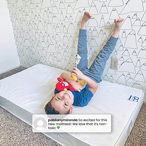 Delta Children Canton Toddler Bed, Bianca White/Natural + Twinkle Galaxy Crib and Toddler Mattress (Bundle)