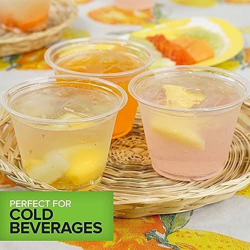 Stock Your Home 9 oz Clear Commercially Compostable Cold Cups (100 Pack) PLA Disposable Party Cup for Water, Wine & Beer