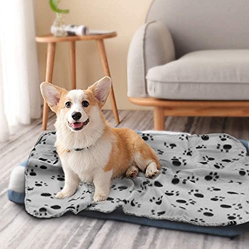 Comsmart Dog Blankets for Small Dogs, 6 Pack Puppy Blanket Cute Paw Print Pet Blanket for Dog, Puppy, Cat, Kitten, 24x28 i...