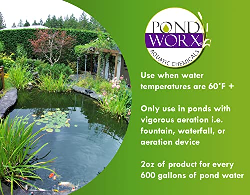 Pond Worx Water Clear - Concentrated Formulation Improves Water Clarity and Quality, Helps Clear Cloudy Water, Safe for Fi...