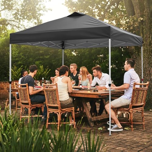 VINGLI 10x10 Pop Up Canopy Tent with Sidewall and Sandbags, Outdoor Pop Up Gazebo Tent for Parties One Person Set Up for C...