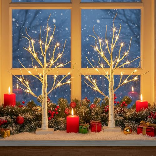 EAMBRITE Lighted Birch Tree Christmas Decorations Indoor for Home, 2Pack 24 LED Battery Operated/USB Tabletop Mini Small A...