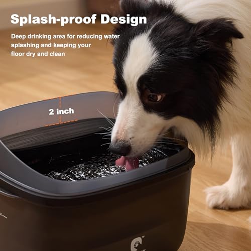 HOLAPAW Dog Water Fountain for Large Dogs, 2.1Gal/8L Dog Water Bowl Dispenser, No Spill Automatic Pet Water Fountain for D...