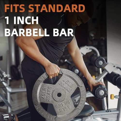 Fitvids Cast Iron 1-Inch Standard Weight Plate for Strength Training & Weightlifting, Multiple Weights Available