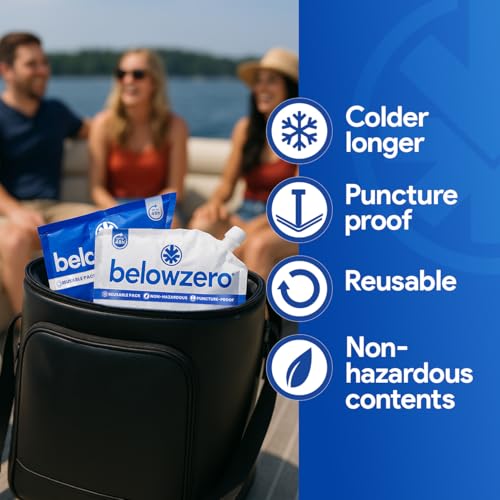 Below Zero Prefilled Reusable Ice Packs for Coolers | Long Lasting Freezer Ice Blocks for Camping, Lunch Bags & More | 48 ...