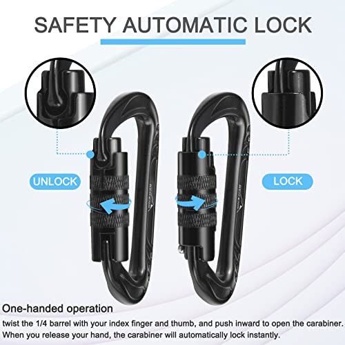BEIFENG Heavy Duty Lightweight Locking Carabiner Clips D Ring for Camping Hiking Outdoor Gym etc, Carabiner with Lock Smal...