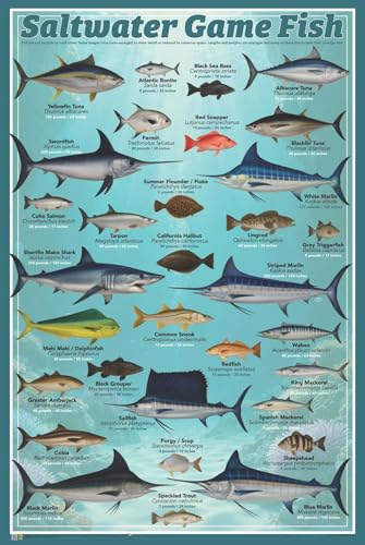 Scorpio Posters Saltwater Game Fish Poster - 24" x 36"