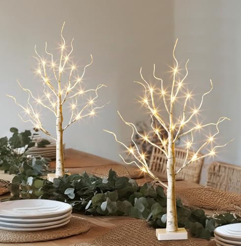 EAMBRITE Lighted Birch Tree Christmas Decorations Indoor for Home, 2Pack 24 LED Battery Operated/USB Tabletop Mini Small A...