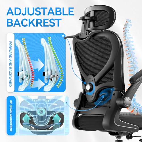 Freepub Ergonomic Office Chair with Headrest 3D, Mesh Office Desk Chair with Adjustable Lumbar Support, Computer Chair wit...