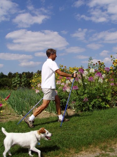 REAL Nordic Walking Carbon Poles w/Cork Grips. 1-piece poles-32 sizes. Safer, Lighter, Stronger, More Durable Than Cheap F...