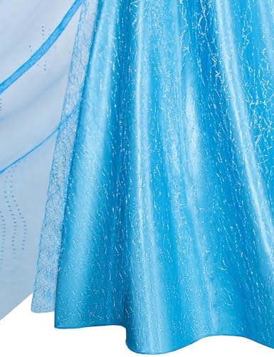 Topney Blue Princess Costumes for Little Girls Dress Up Birthday Party with Accessories