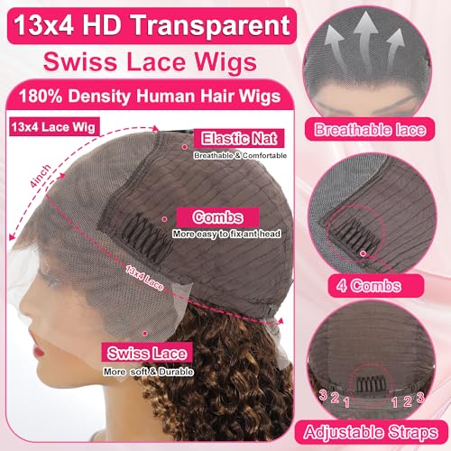 18 inch Water Wave P4/27 Highlight 13x4 HD Transparent Lace Front Wigs Ombre Human Hair Wet and Wavy Curly Glueless Lace Frontal Wigs Pre Plucked with Baby Hair 180% Density