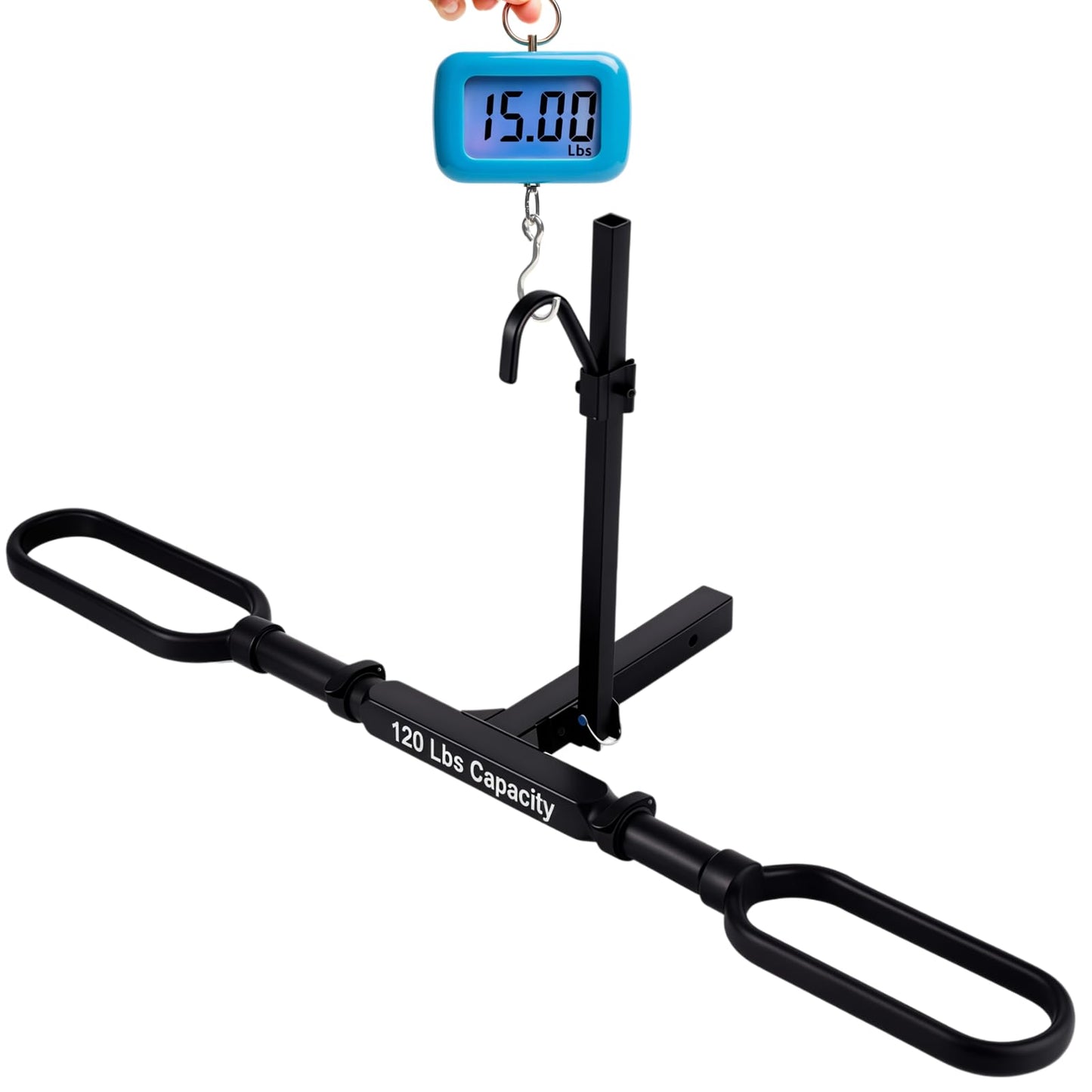 Platform Bike Rack for Single Ebike - 120 lbs Capacity Hitch-Mounted Heavy-Duty Aluminum Rack, Fits 2" Receiver for Car/SUV/Truck/Rv