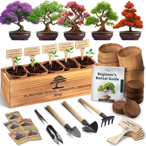 DIY Bonsai Tree Kit for Beginners – 5X Unique Japanese Bonzai Trees | Complete Indoor Bonsai Starter Kit for Growing Bonsa...