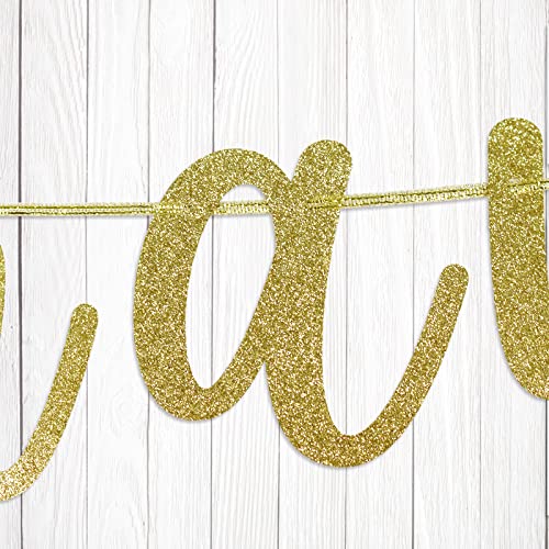 Go Shawty It's Your Birthday Banner, Hip Hop Birthday Party Decorations Supplies, Rap Theme Bday Bunting Sign, Pre-strung,...