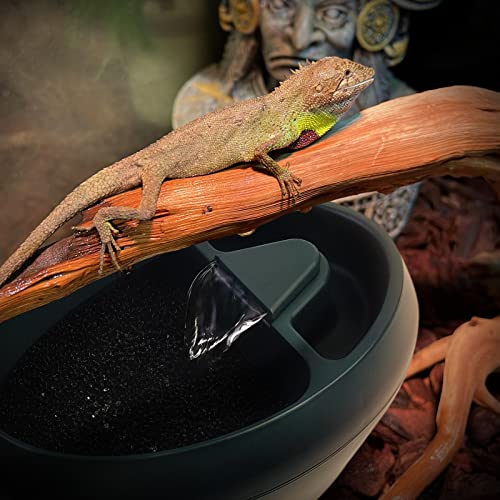 MYGIIKAKA Reptile Drinking Water Fountain Chameleon Accessories Automatic Circulation System with Trough, Bearded Dragon C...
