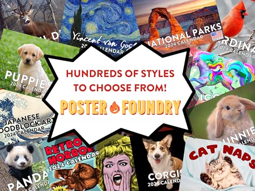 Extreme Sports Cats Calendar 2026 Monthly Wall Calender 12 Month | American Made In The USA