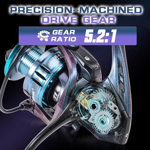 Sougayilang Chameleon Paint Spinning Fishing Reel,Super Powerful Smooth Drag with 11+1 Ball Bearings from 1000 to 4000 Ser...