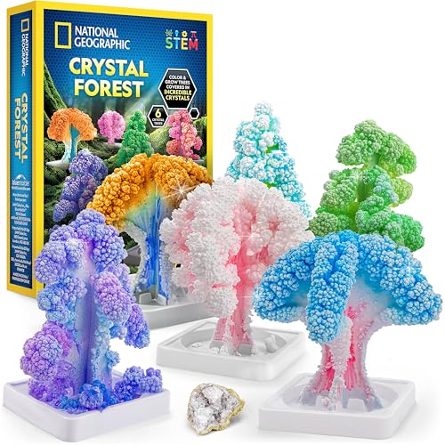 National Geographic Craft Kits for Kids - Crystal Growing Kit, Grow 6 Crystal Trees in Just 6 Hours, Educational Craft Kit...