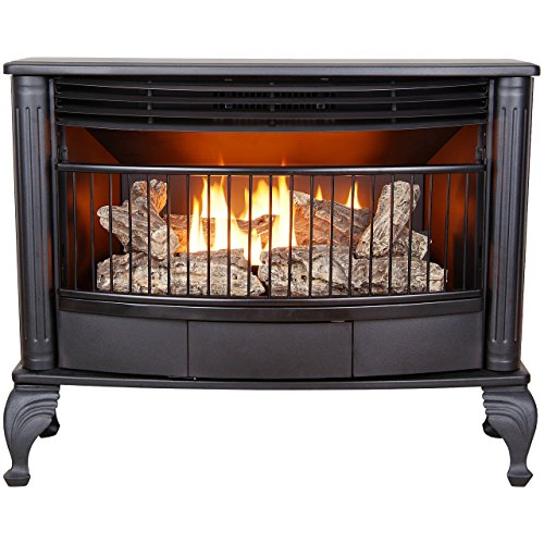 ProCom QNSD250RT Vent Free Dual Fuel Stove, Freestanding Fireplace and Indoor Space Heater, Use with Natural Gas or Liquid...