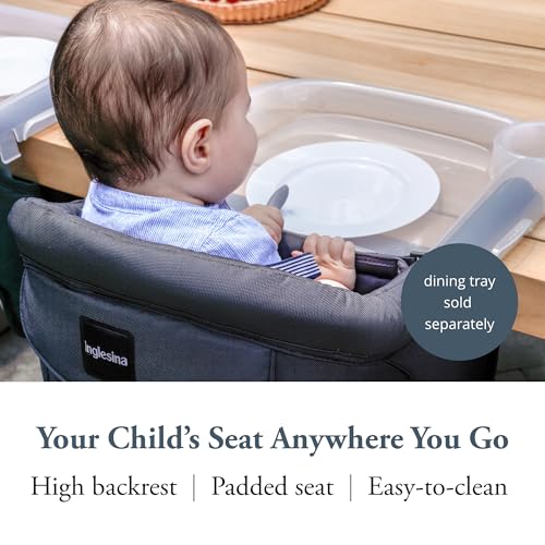 Inglesina Fast Table Chair, Black - Portable Baby High Chair - for Babies & Toddlers up to 37 lbs - Collapsible Design - F...