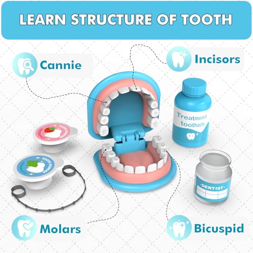 Dentist Play Set for Toddlers 3-5 - Doctor Kit Toy Gifts for 3 4 Year Old Girls, Pretend Play Montessori Toys Teeth and De...