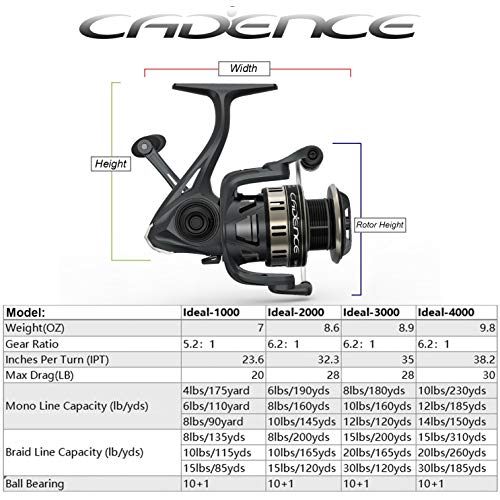 Cadence Fishing Combos with 10+1 Ideal Spinning Reel Bundle + 1PCS 7ft Essence Moderate Light Spinning Rod Perfect for Pro...