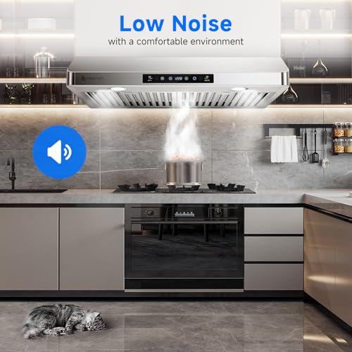 AMZCHEF Under Cabinet Range Hood 30 Inch, 750CFM Stainless Steel Kitchen Stove Vent Hood 3 Speed Exhaust Fan Touch/Remote/...