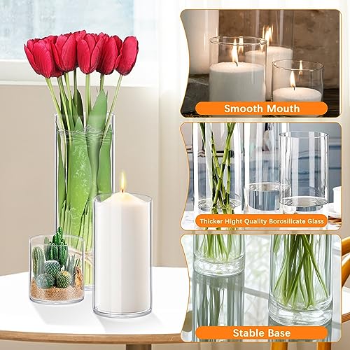 4 Pack Glass Cylinder Vases 4,6,8,10 Inch Tall Clear Flower Vase Hurricane Floating Candle Holder for Table Centerpiece We...