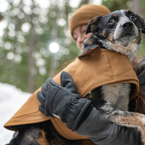 Carhartt Firm Duck Insulated Dog Chore Coat, Durable Weather Resistant Jacket for Cold and Windy Conditions, PFAS Free (Hu...