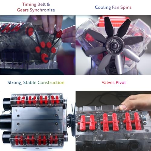 Playz V8 Combustion Engine Model Kit That Runs - Build Your Own STEM Mini V8 Model Engine Kit for Adults & Kids Age 12+, V...