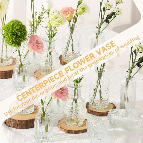 Anquephd Glass Bud Vase Set of 32PCS Wedding Centerpieces for Tables,Mini Clear Bud Vases for Flowers,Small Flower Vases S...