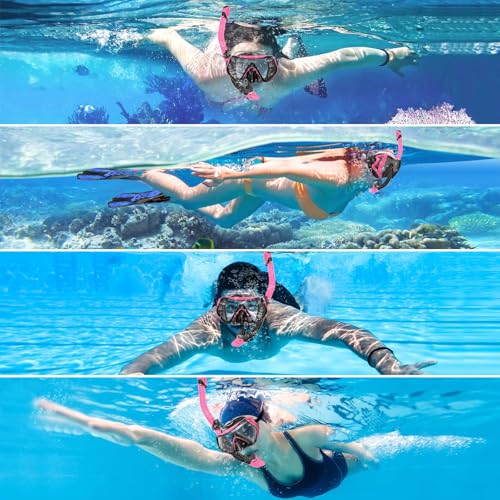 Snorkeling Gear for Adults, Dry-Top Snorkel Set Scuba Diving mask, 180°Panoramic Wide View Professional Snorkeling Gear Br...