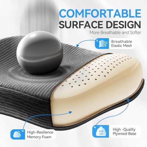 Freepub Ergonomic Office Chair with Headrest 3D, Mesh Office Desk Chair with Adjustable Lumbar Support, Computer Chair wit...