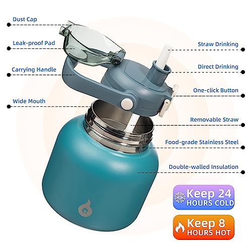 BJPKPK Insulated Water Bottles with Straw, 27 oz Cute Water Bottles with Handle, BPA Free Stainless Steel Metal Jug, Easy ...