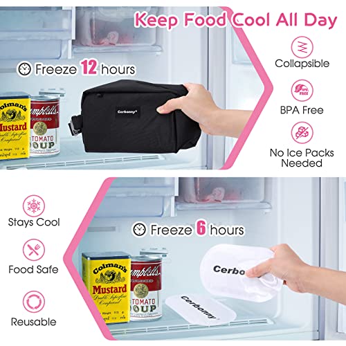 Freezable Lunch Bag,Freezable Snack Bag,Mini Cooler Bag for Travel/Work/School,Small Insulated Bag,Small Cooler Lunch Box ...