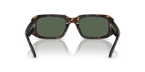 ARNETTE Sunglasses AN 4318 122271 Thekidd Dark Havana Green