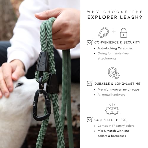 MADE TO ROAM Premium Explorer Leash - Climbing Rope Leash with Autolocking Aviation Aluminum Carabiner - Maine Marina, 6ft