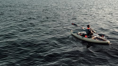 Wilderness Systems Tarpon 120 - Sit on Top Fishing Kayak - Premium Angler Kayak - Adjustable and Designed Seat - 12.3 ft