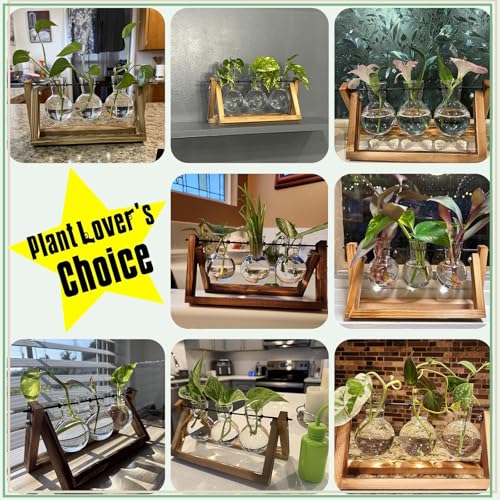 XXXFLOWER Plant Terrarium with Wooden Stand, Air Planter Bulb Glass Vase Metal Swivel Holder Retro Tabletop for Hydroponic...