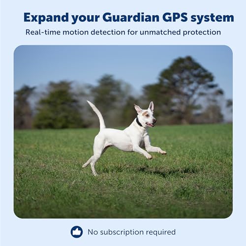 PetSafe Guardian GPS Dog Fence Add-A-Dog Collar - Add-On for Guardian GPS Fence System - AccuGuard Technology - Tone Vibra...