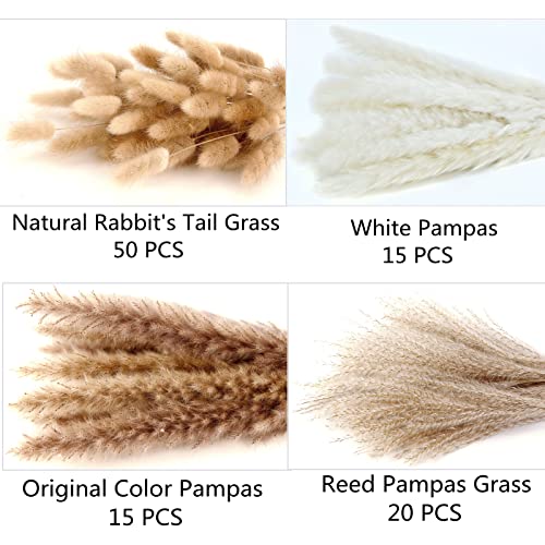 Dried Pampas Grass Decor, 100 Stems Pampas Grass Contains Bunny Tails Dried Flowers, Reed Grass Bouquet for Wedding Boho F...