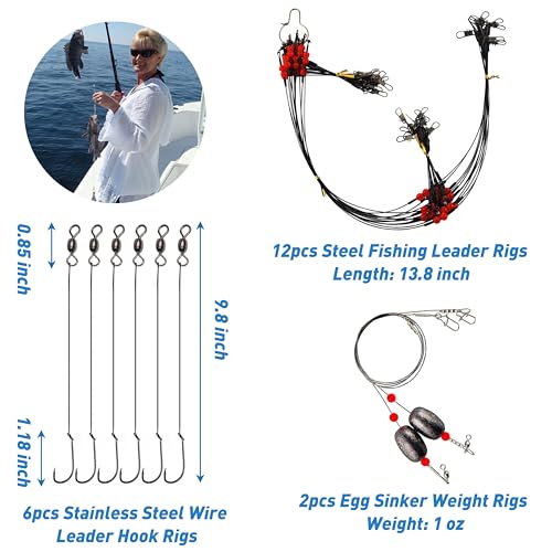 Saltwater Fishing Gear Kit,131pcs Saltwater Surf Fishing Tackle Kit Include Saltwater Fishing Lures Fishing Bait Rigs Pyra...