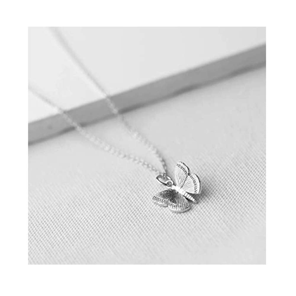 Baydurcan Butterfly Necklace Butterfly Pendant Chain Necklace with Message Card Gift Card (butterfly 2s)