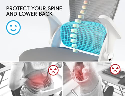 TRALT Ergonomic Office Chair - Comfy Desk Chair with Back Support, Home Office Desk Chairs, Computer Chair, 330lbs Wide Se...