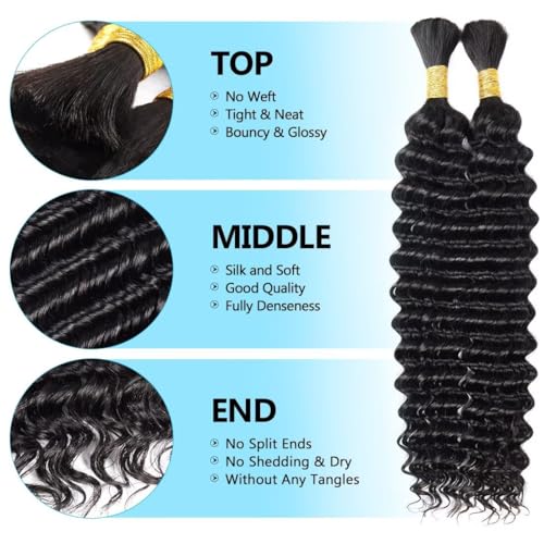 160g 5 Bundles P4/30 Deep Wave Human Braiding Hair 20 Inch Bulk Human Hair for Braiding No Weft Human Braiding Hair for Boho Braids Wet and Wavy 100% Brazilian Virgin Curly Hair