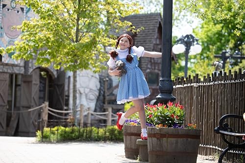Rubies The Wizard of Oz: Dorothy Costume for Kids, Girls