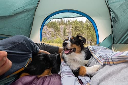 Coleman Skydome Tent with 5 Minute Setup, 2/4/6/8-Person Weatherproof Tent with Rainfly & Carry Bag, 20% More Headroom Tha...