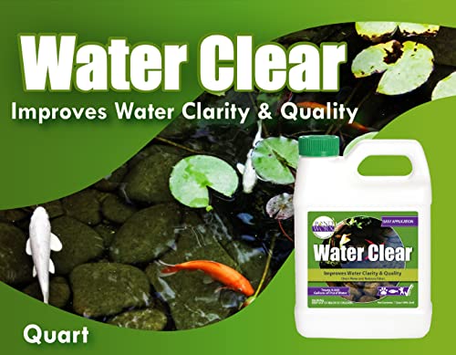 Pond Worx Water Clear - Concentrated Formulation Improves Water Clarity and Quality, Helps Clear Cloudy Water, Safe for Fi...